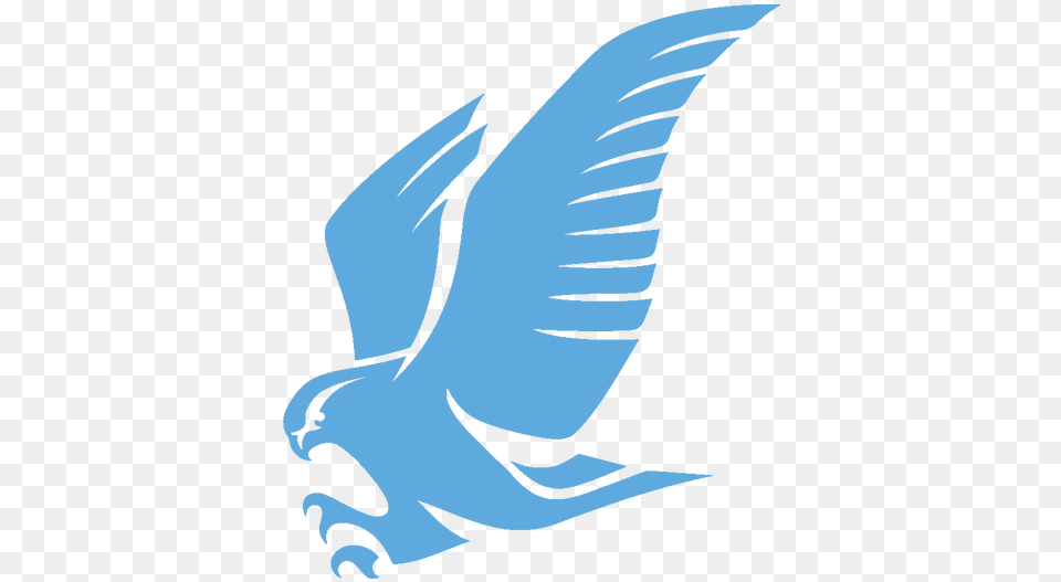 Twitter Bird Transparent Gulf Air On Twitter Gulf Quiz Logo Game Answers Level, Adult, Female, Person, Woman Png Image