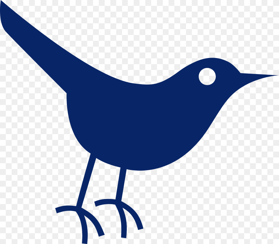 Twitter Bird Tweet Tweet 58 1969px Twitter Bird Icon, Animal, Blackbird, Jay, Fish Free Png Download