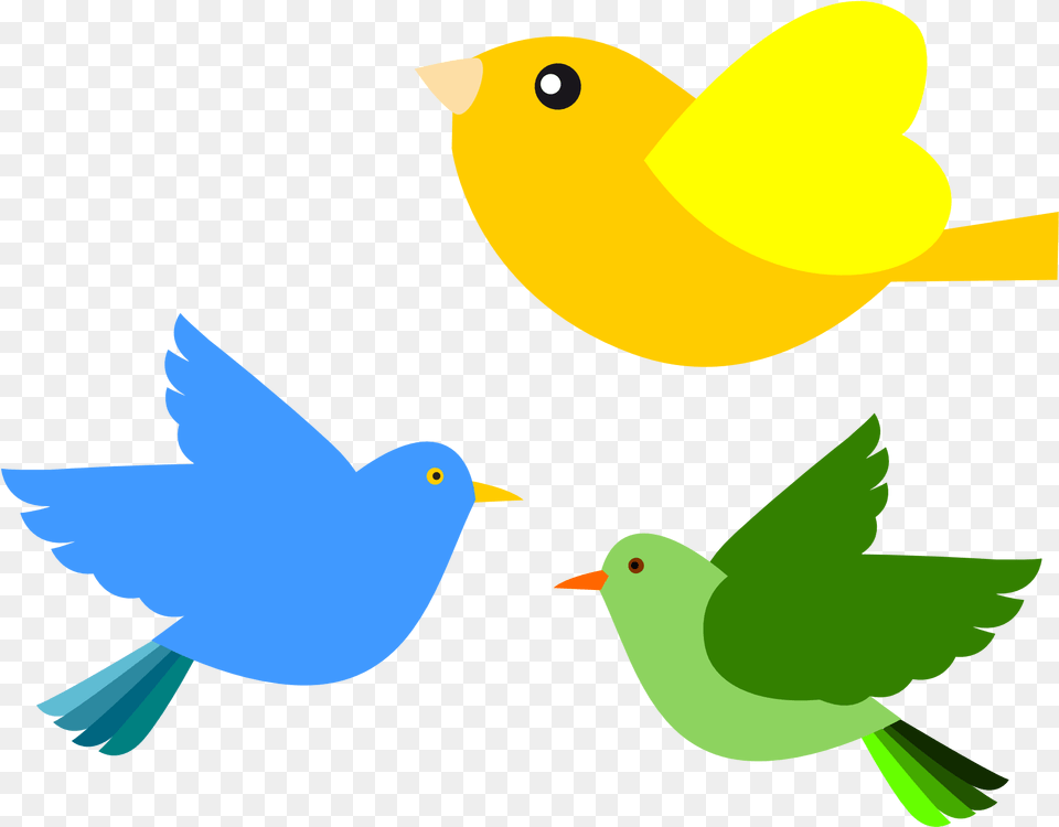 Twitter Bird Tweet Tweet 65, Animal, Beak Free Png Download