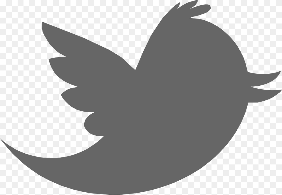 Twitter Bird U2014 Sarah K Peck Twitter Logo For Photoshop, Silhouette, Stencil, Animal, Fish Png Image