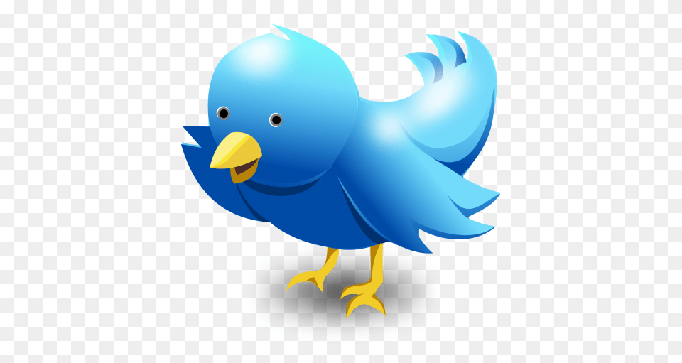 Twitter Bird Vector Image, Animal, Beak, Fish, Sea Life Free Png Download