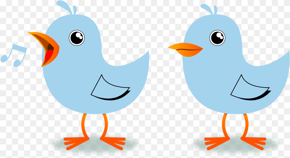 Twitter Birds Singing Musical Light Sky Blue 2 Dingle Soft Sound Clip Art, Animal, Beak, Bird, Face Free Png Download