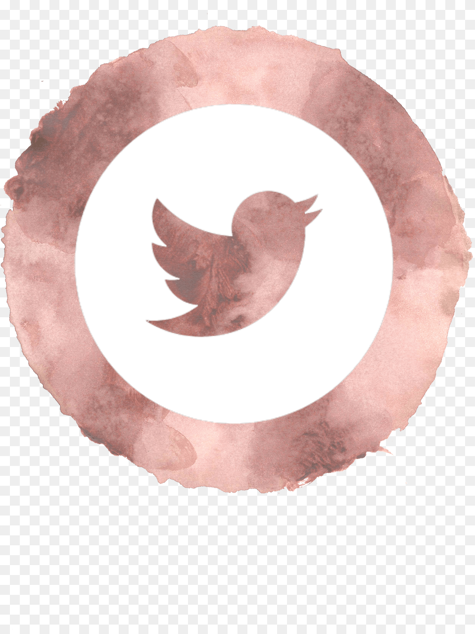 Twitter Button Pink Twitter, Plate, Animal, Bird, Chicken Free Transparent Png