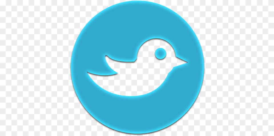 Twitter Circle Icon Clipart Image Iconbugcom Logo Twitter Transparente, Animal, Jay, Bird, Astronomy Png