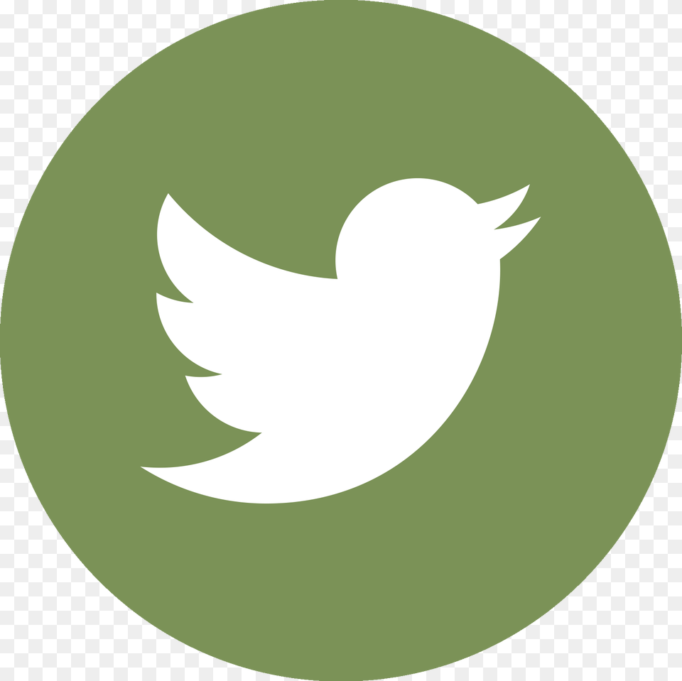 Twitter Circle Logo Vector Download Round Twitter Logo Svg Png