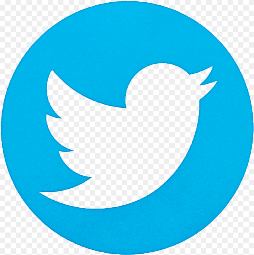 Twitter Circle Twitter Logo Png Image