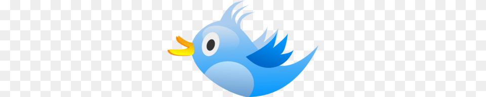 Twitter Clip Art, Animal, Bird, Jay, Baby Free Png Download