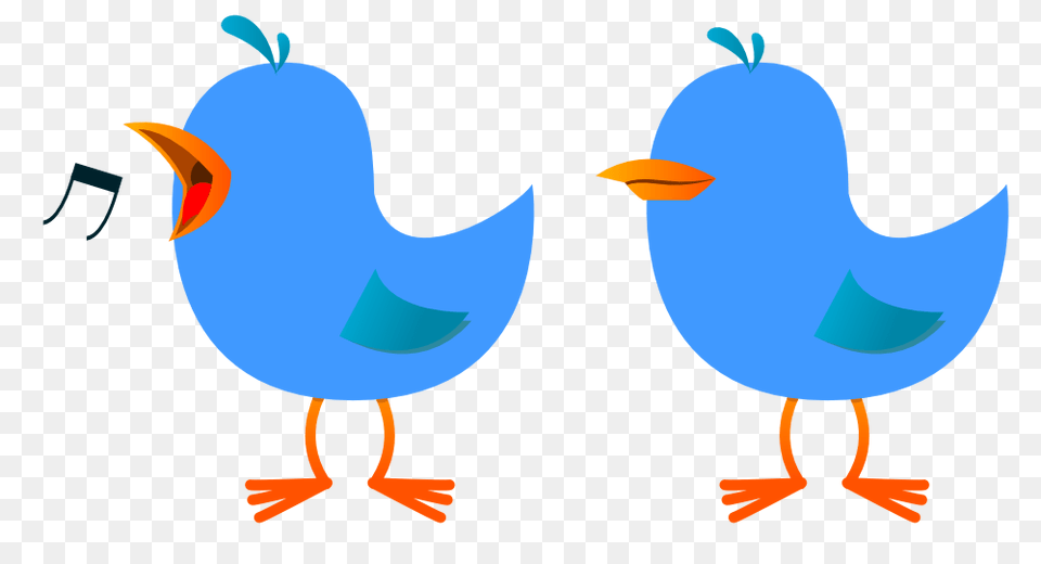 Twitter Clipart Clip Art, Animal, Beak, Bird, Seagull Png Image