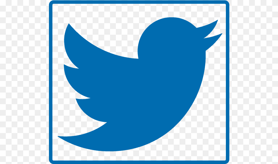Twitter Download Twitter Black, Logo, Animal, Fish, Sea Life Png