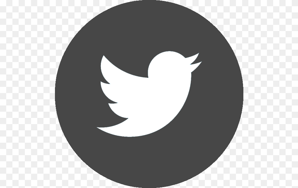 Twitter Flat Icon, Logo, Astronomy, Moon, Nature Free Transparent Png