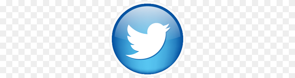 Twitter Icon, Logo, Disk Free Png Download