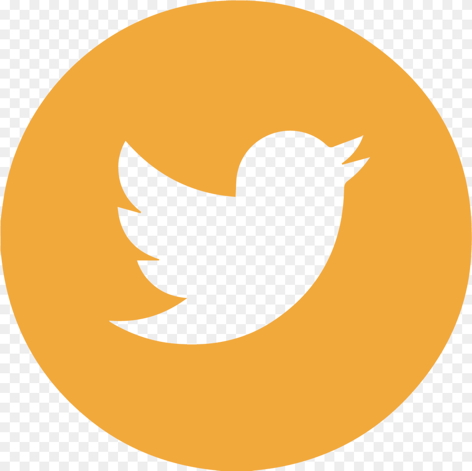 Twitter Icon Aesthetic Yellow Clipart Maroon Twitter Icon, Logo, Animal, Bird, Blackbird Png