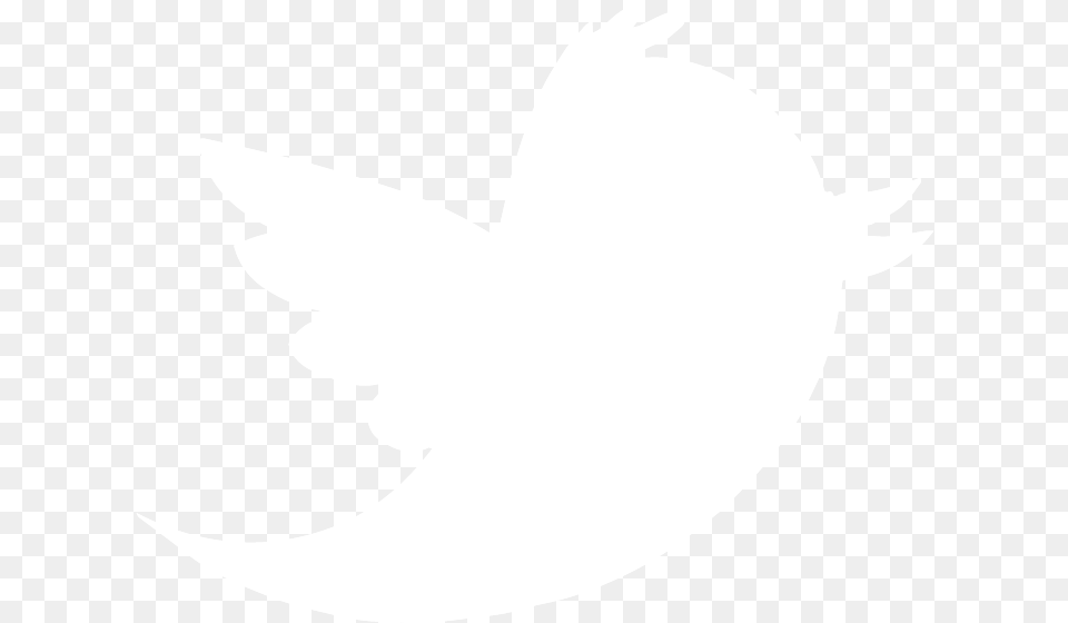 Twitter Icon Background Twitter Black And White, Silhouette, Stencil, Animal, Fish Free Png
