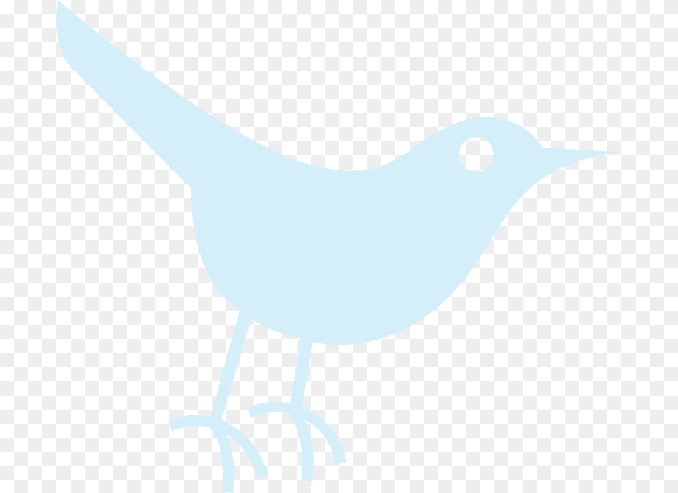 Twitter Icon Bird Vector Clipart Twitter Bird Icon, Animal, Blackbird, Person Png Image