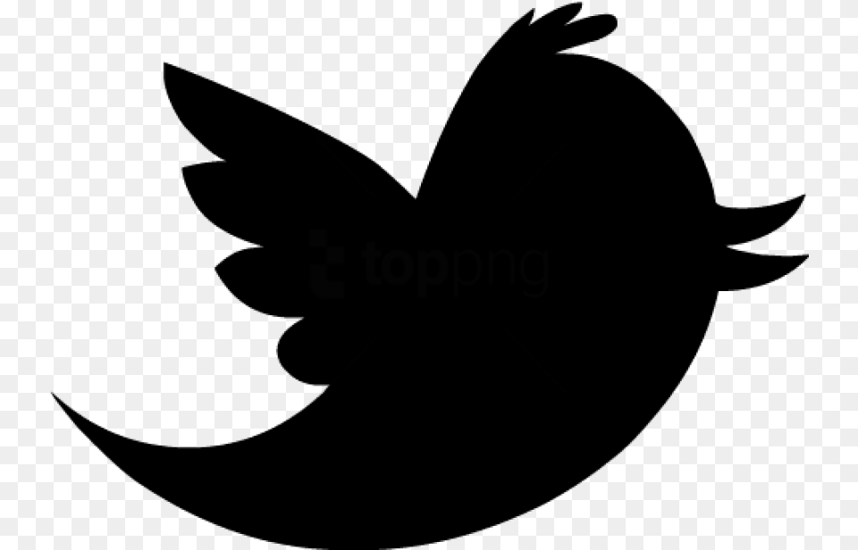 Twitter Icon Black Image With Transparent Background Twitter Logo Grey, Silhouette, Animal, Fish, Sea Life Png