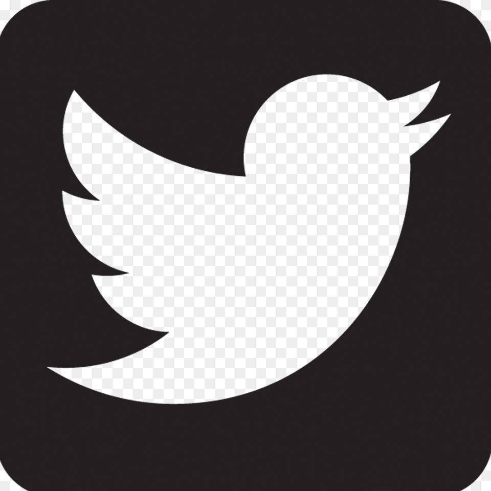 Twitter Icon Black Social Media Icons Twitter, Gray Free Png Download