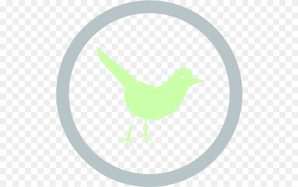 Twitter Icon Circle Svg Transparent Illustration, Animal, Bird, Blackbird Free Png