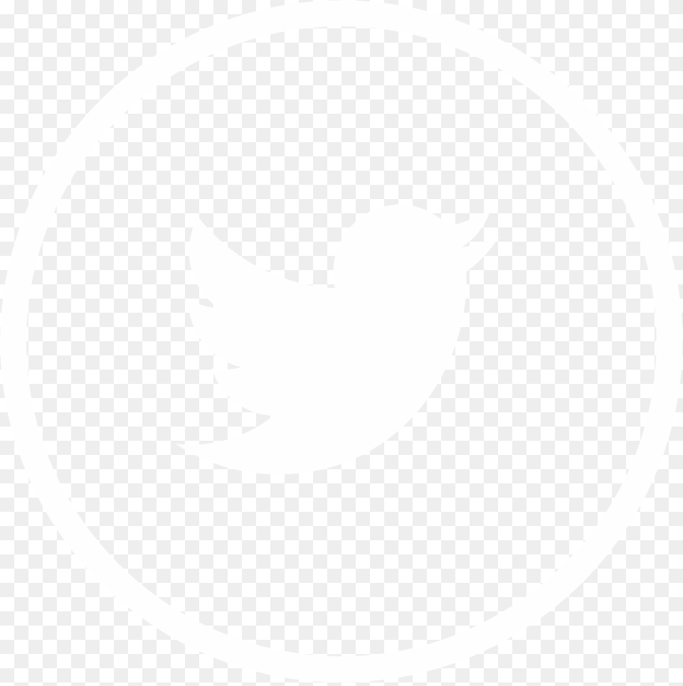 Twitter Icon Gray Circle Twitter Rounded Icon, Logo, Animal, Fish, Sea Life Free Transparent Png