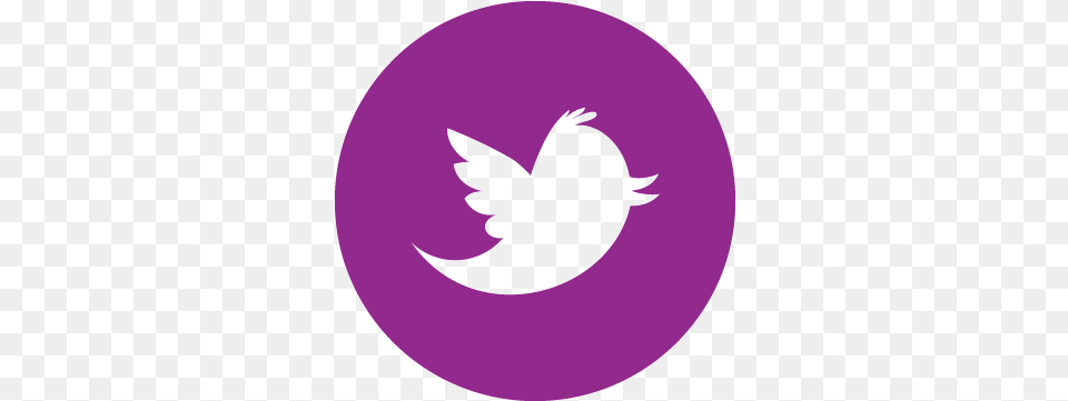 Twitter Icon Grey Round Twitter Logo For Website, Symbol, Astronomy, Moon, Nature Png Image