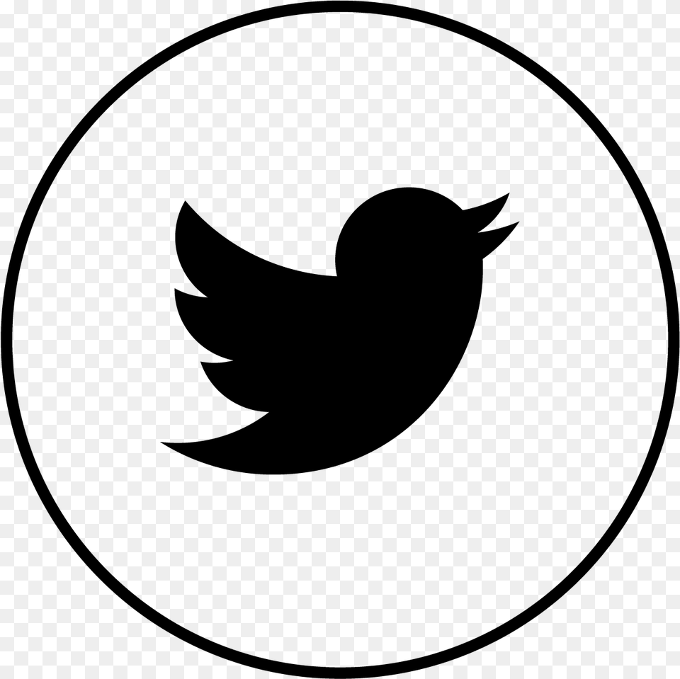 Twitter Icon Grey Twitter Icon, Gray Free Png Download