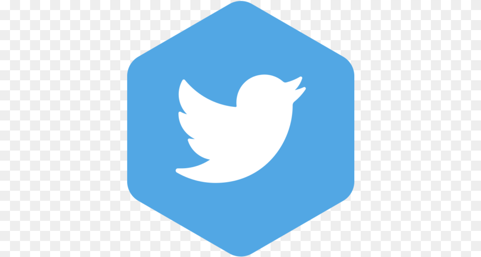 Twitter Icon Download Searchpng Twitter 2019 Logo Png Image