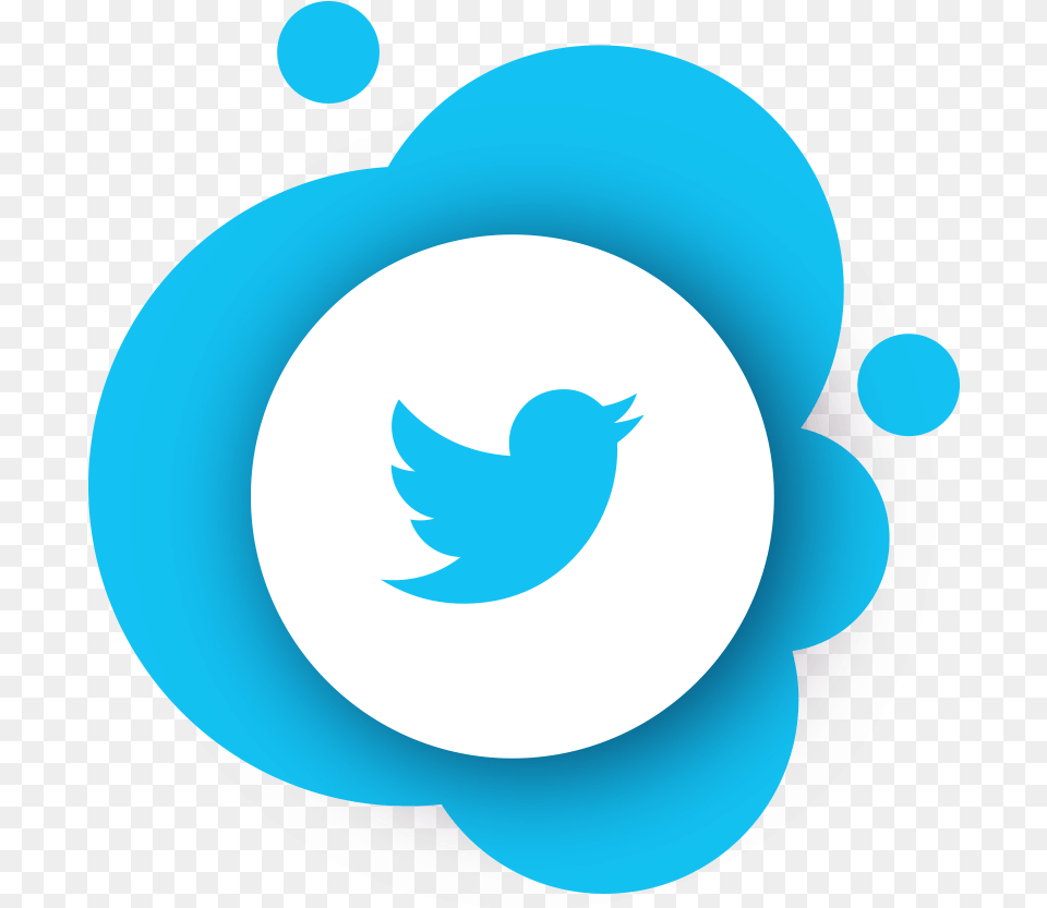 Twitter Icon Image Download Searchpng Twitter Logo 2019, Animal, Bird, Jay, Disk Free Transparent Png