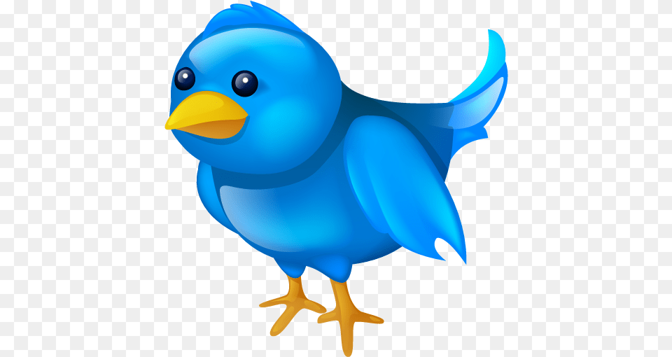 Twitter Icon Large Twitter Icons Softiconscom Image File, Animal, Bird, Bluebird, Jay Free Png Download