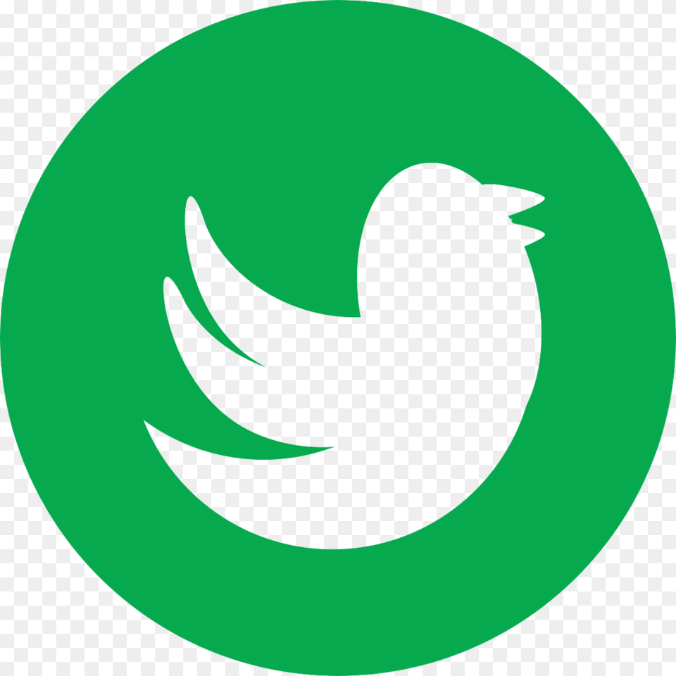 Twitter Icon No Background Black Twitter Logo Vector Free Png Download