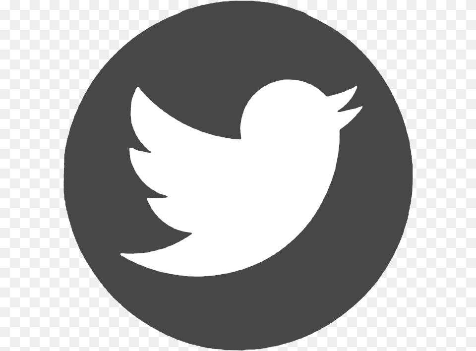 Twitter Icon Red Circle Clipart Download Twitter Logo Gray Circle, Animal, Fish, Sea Life, Shark Free Png