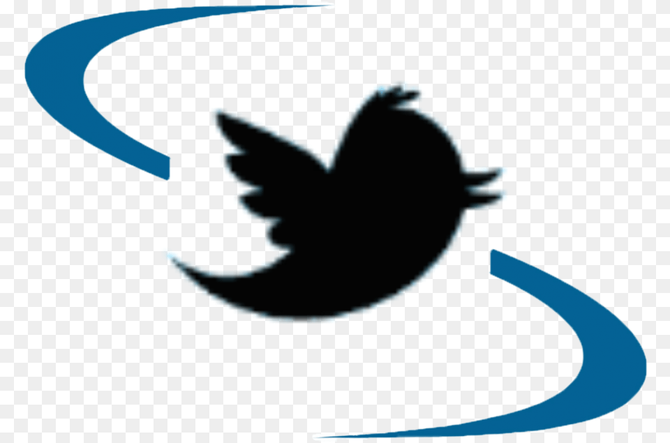 Twitter Icon Scumc Red Twitter Bird, Electronics, Hardware, Outdoors, Nature Free Transparent Png