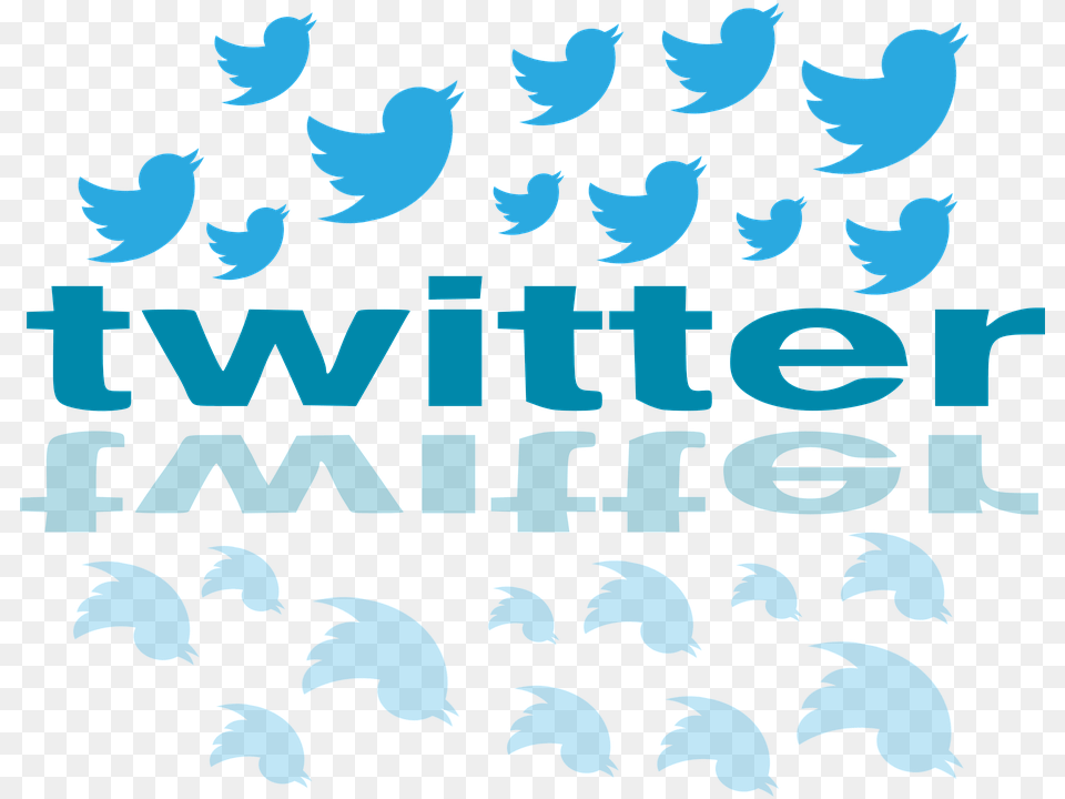 Twitter Icon Symbol Social Media Internet Network Twitter Birds, Text, Person Png Image