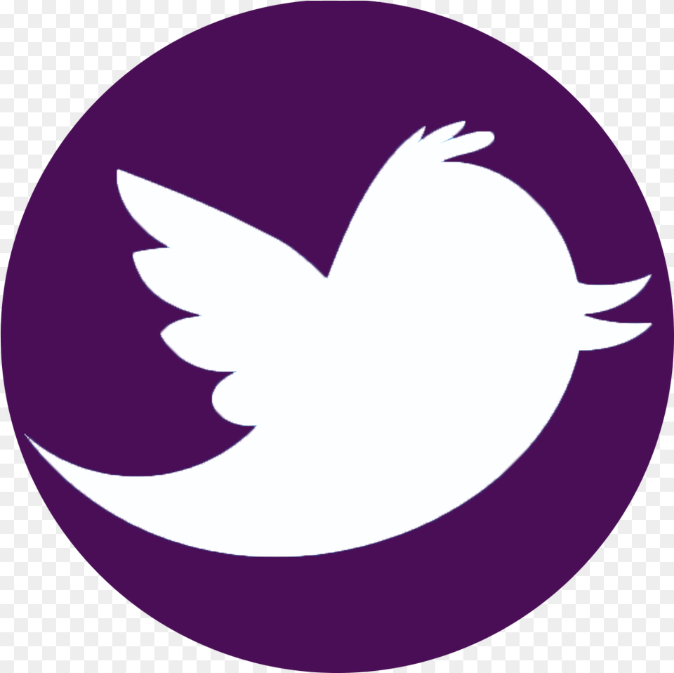 Twitter Icon Thumbgal Social Media Icons Twitter, Logo, Astronomy, Moon, Nature Png