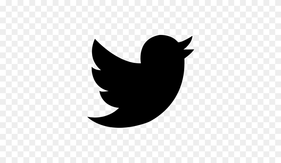 Twitter Icon Vector, Electronics, Screen, Blackboard, Computer Hardware Free Transparent Png