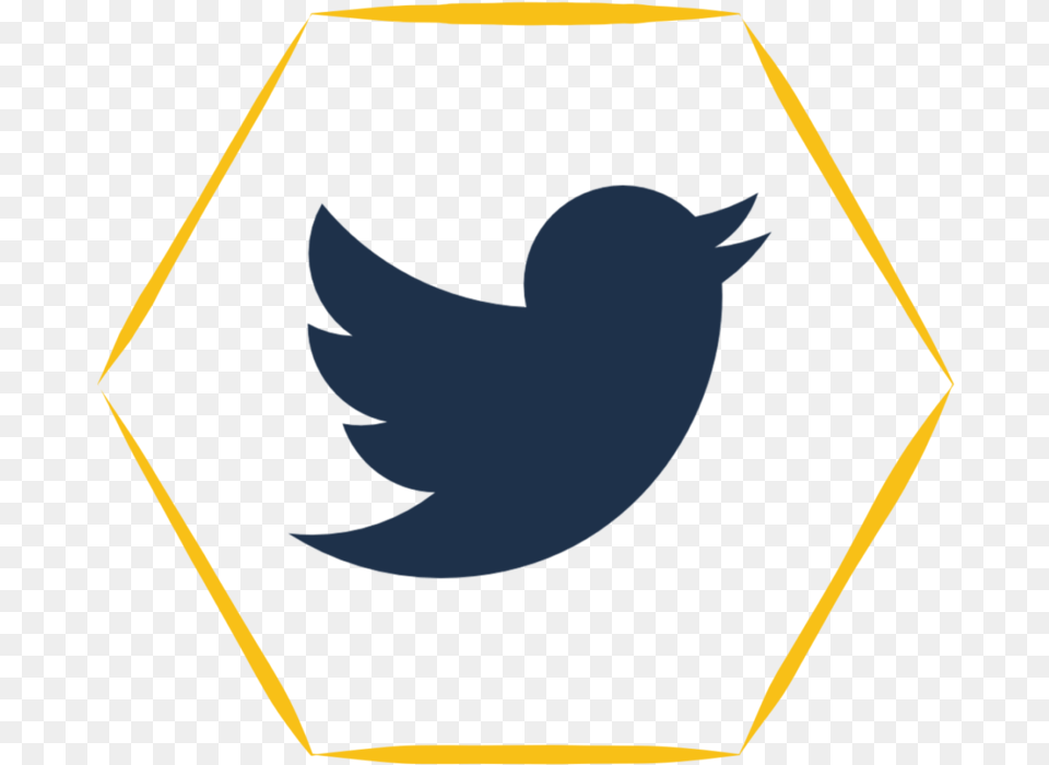 Twitter Icon Vector, Symbol, Logo, Animal, Fish Free Png Download