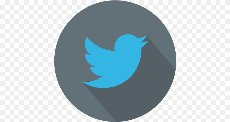 Twitter Icon Vector Free Twitter Logo, Animal, Fish, Sea Life, Shark Png Image