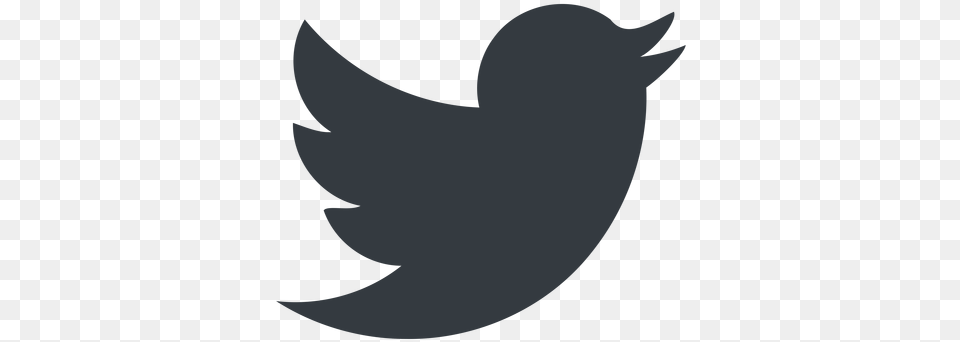 Twitter Icon Vector Icons Black Twitter Icon Transparent Background Png Image