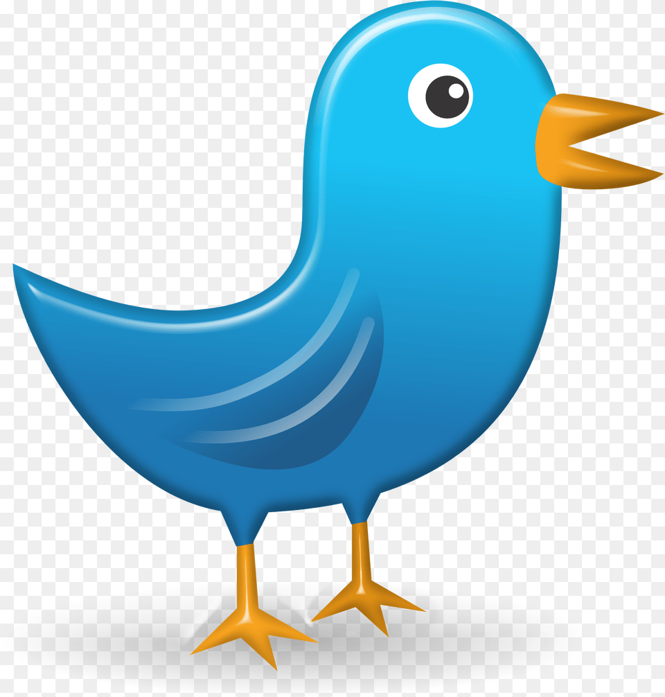 Twitter Icon Web Network Bird Image Bird Tweet, Animal, Beak, Fish, Sea Life Free Png Download