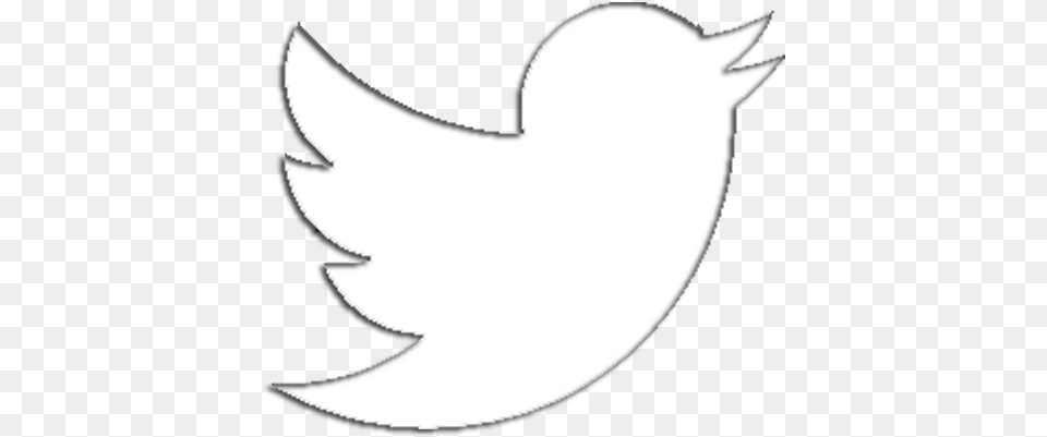 Twitter Icon White Transparent White Twitter Logo, Animal, Fish, Sea Life, Shark Png Image