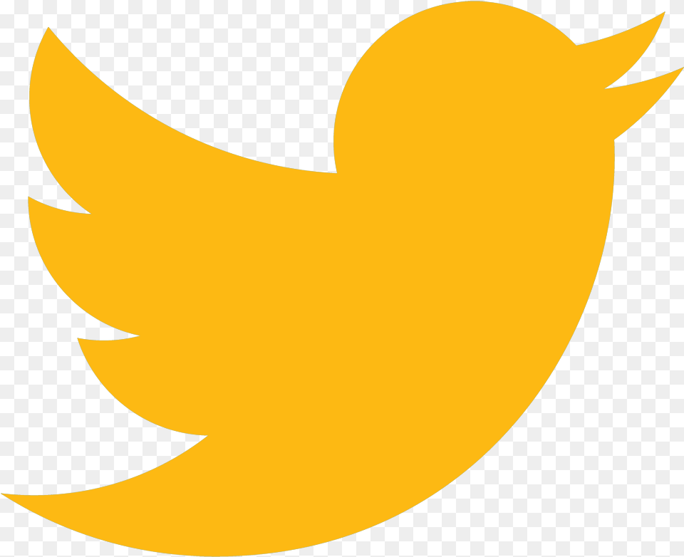 Twitter Individual Social Media Logos Full Size Transparent Orange Twitter Logo, Animal, Fish, Sea Life, Shark Free Png
