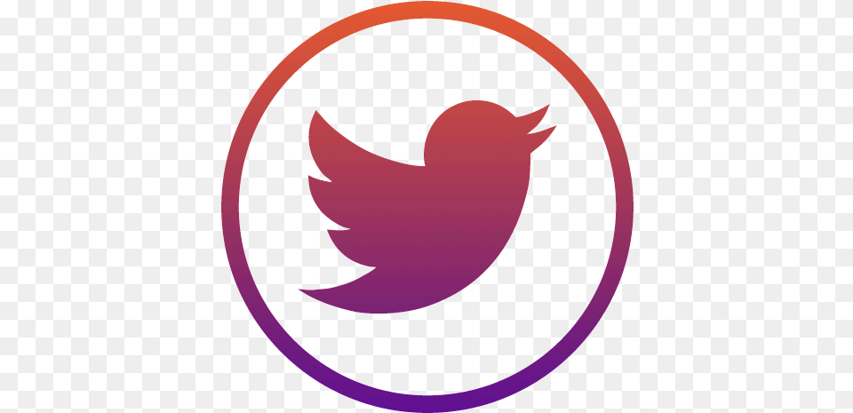 Twitter Insta Aesthetic Cute Logo Follow Friday Twitter Png