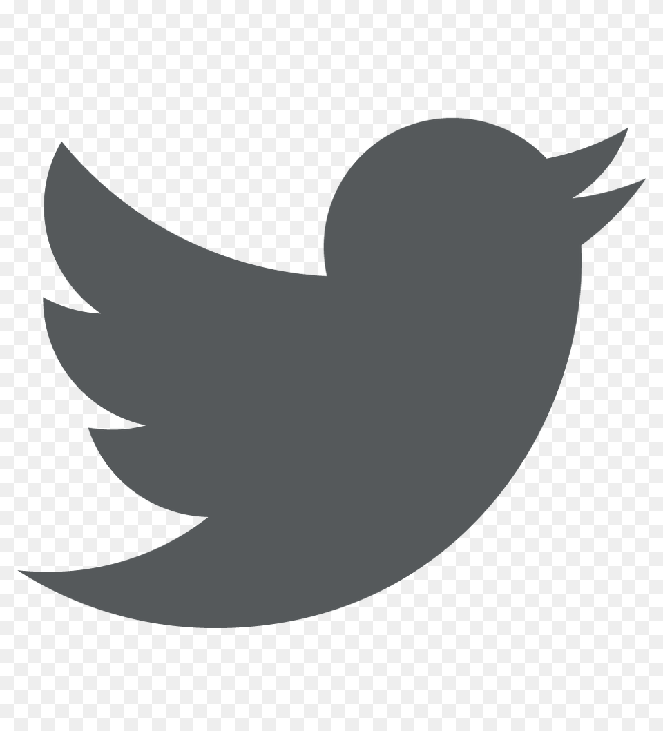 Twitter Logo, Silhouette, Animal, Bird, Blackbird Free Transparent Png