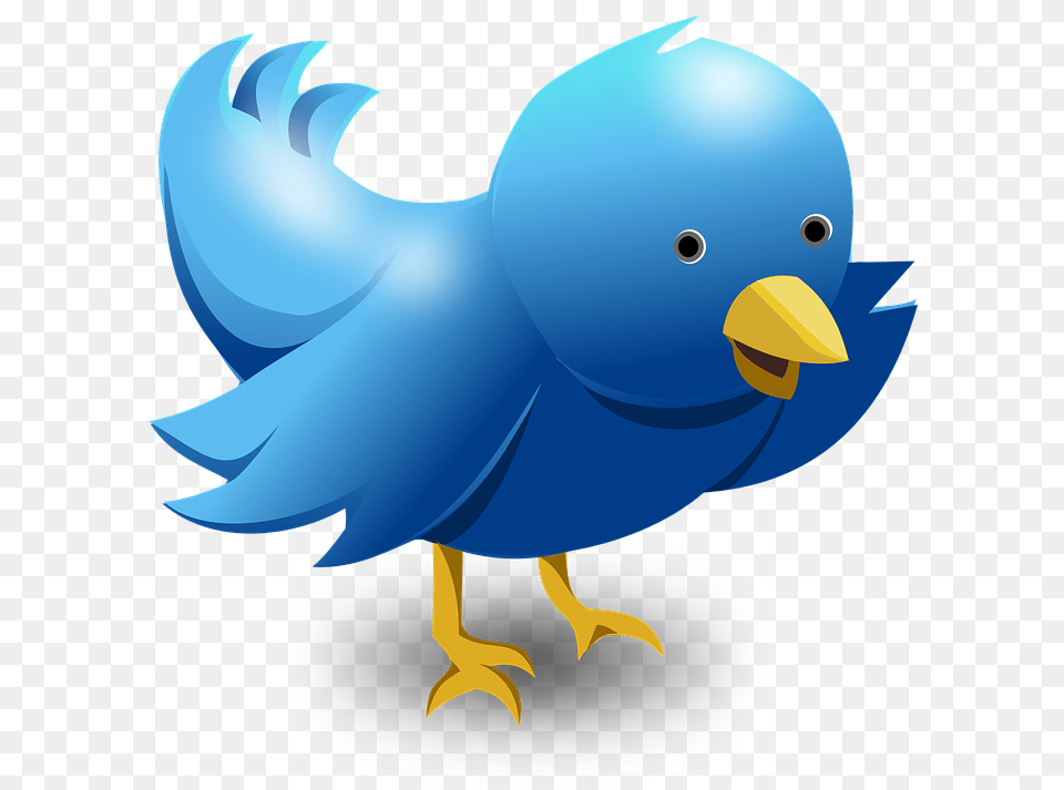 Twitter Logo, Animal, Beak, Bird, Fish Free Png Download