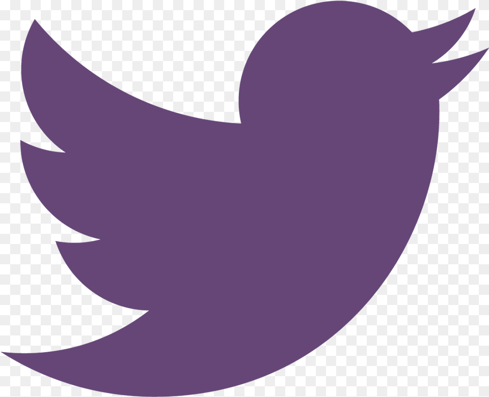 Twitter Logo 2016 Twitter White Symbol Vector, Astronomy, Moon, Nature, Night Free Transparent Png