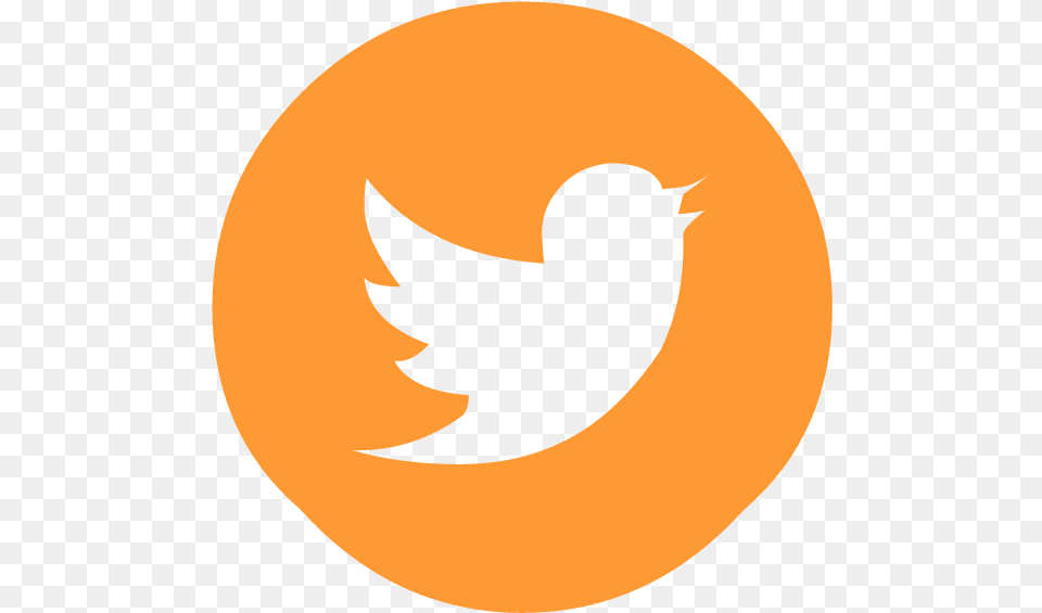 Twitter Logo 2019, Animal, Bird, Blackbird Free Transparent Png