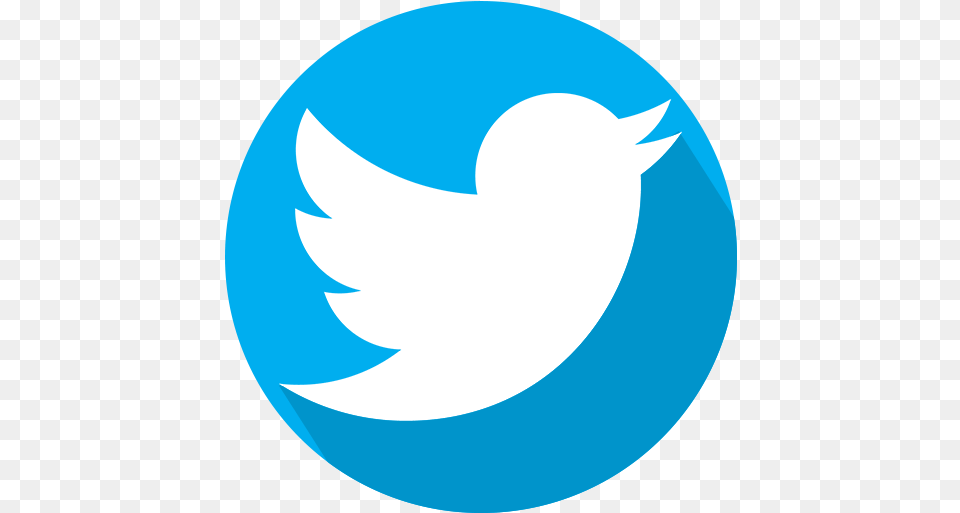 Twitter Logo 2020 Logo Twitter Transparente, Astronomy, Moon, Nature, Night Free Transparent Png