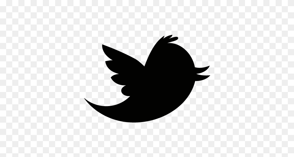 Twitter Logo, Nature, Night, Outdoors Free Png