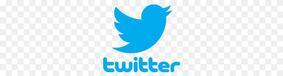 Twitter Logo, City Free Transparent Png