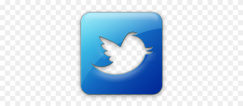 Twitter Logo, Symbol Free Transparent Png