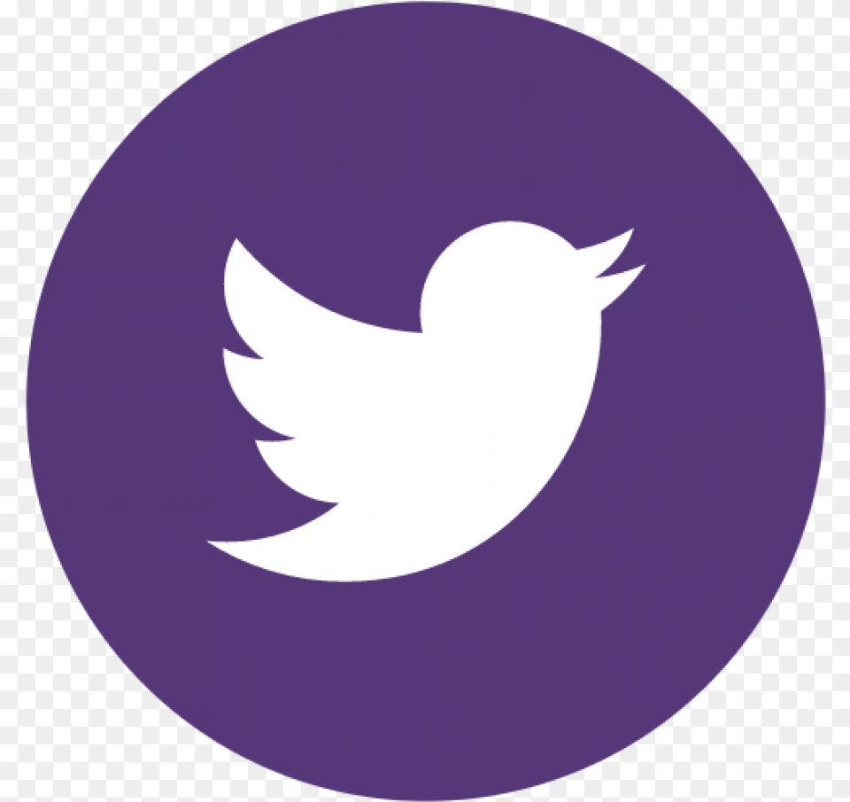 Twitter Logo Free Png