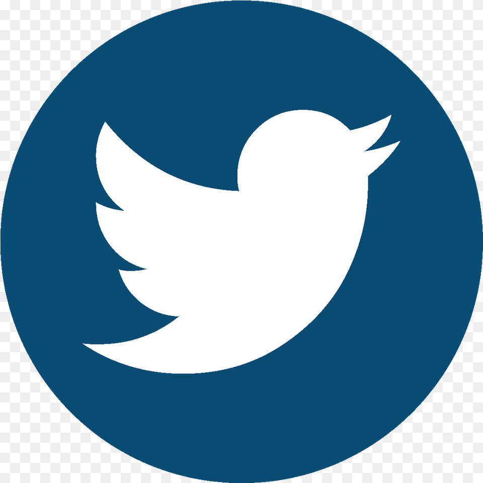 Twitter Logo Aesthetic Clipart Social Media Single Icons, Animal, Fish, Sea Life, Shark Free Transparent Png